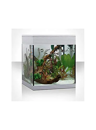 Acquario Askoll Pure M led PureWhite (44 lt.) + kit arredi allestimento e manutenzione omaggio