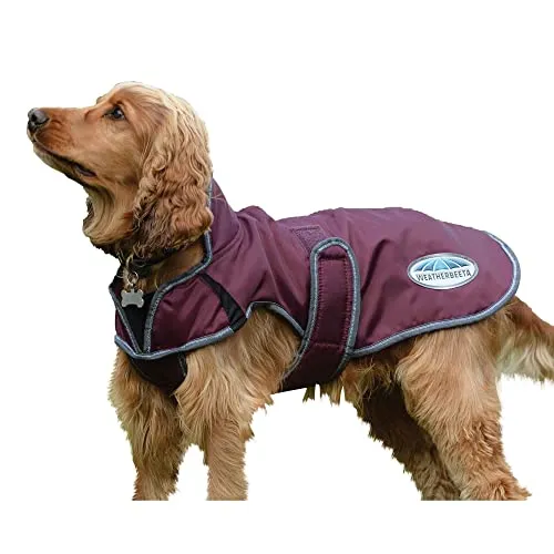Weatherbeeta Comfitec - Cappottino per cani Deluxe senza giacca a vento, grigio, 60 cm