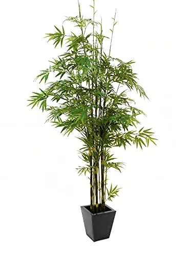 Europalms 82509247 Bamboo Tronco Nero, 240 cm, Taglia Unica