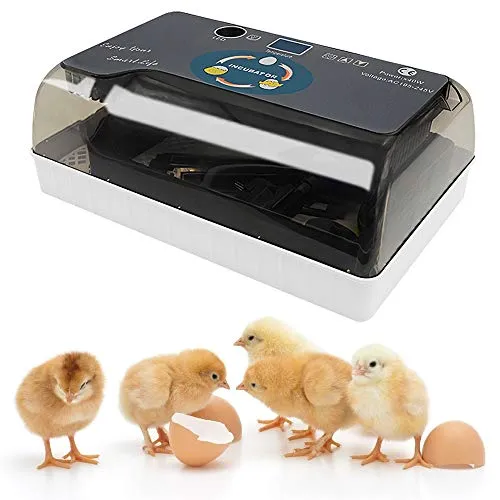 GNEGNIS Incubatrice Automatica per 12 Uova, Incubatrice Uova Gallina Professionale con Display LCD e Controllo Automatico di Temperatura,per Gallina, Anatra, Quaglia, ECC