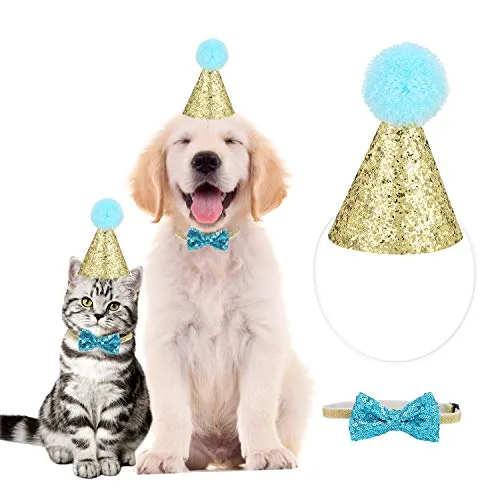 Cappelli Compleanno per Cane, Set di Compleanno per Cucciolo Paon per Animali Domestici di Compleanno Festa Decor per Cani di Piccolo Medie Grandi Decorazione di Compleanno Oro