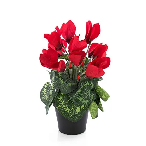 artplants.de Ciclamino Artificiale in Vaso, 12 Fiori, Rosso, 25cm -Ciclamino Ornamentale/Fiore Finto in Vaso