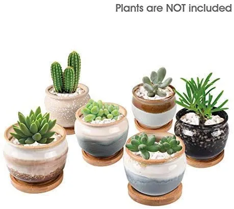 KENTING KORAM Vaso per fiori succulente in ceramica da 3,5 pollici, vaso per piantare cactus con vaso per fiori, contenitore scorrevole per smalto per giardino, cactus, vaso succulento Confezione da 6