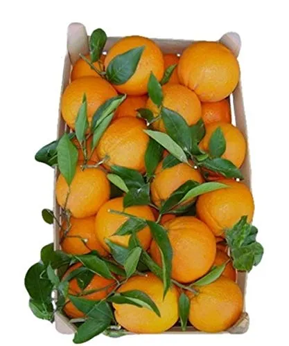 Sicilia Bedda - LIMONI e Arance Siciliane - 1 KG di Frutta Fresca Siciliana (ARANCE SICILIANE)