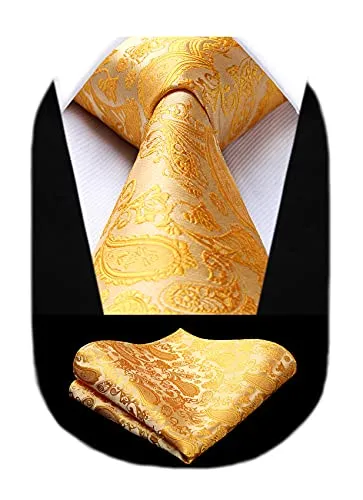 HISDERN Cravatta Uomo e Fazzoletto Paisley Floral Elegante Cravatte Set Tinta unita Classico Matrimonio Festa Laurea (Oro)