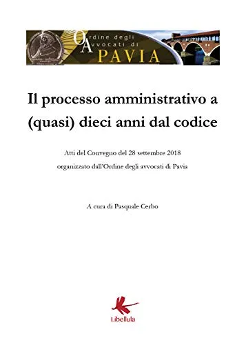 Il processo amministrativo a (quasi) dieci anni dal codice. Atti del Convegno (Pavia, 28 settembre 2018)