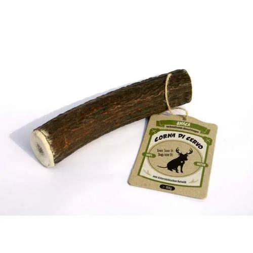 Bengy Medio Corno di Cervo Naturale 50g Gioco per Cane Ecologico Osso da Masticare 100% Naturale