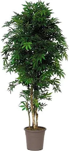 NewGreen Acero Verde - Pianta Finta Albero Artificiale da Arredo Interno con Tronco Vero - Alto 150 cm