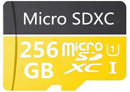 Micro SD Card 400GB Alta Velocità Classe 10 Micro SD SDXC Card con adattatore 256 GB.