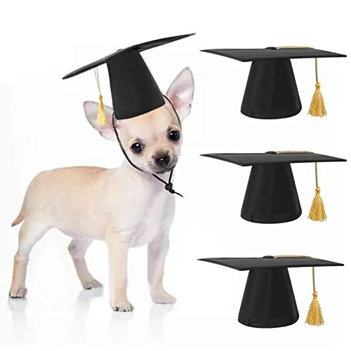 Kulannder 3 Pezzi Cappello di Laurea per Cane Dell'animale del Campo di Addestramento Dell'animale Domestico di Nappa Gialla Come Accessorio del Costume di Festa da Vacanza