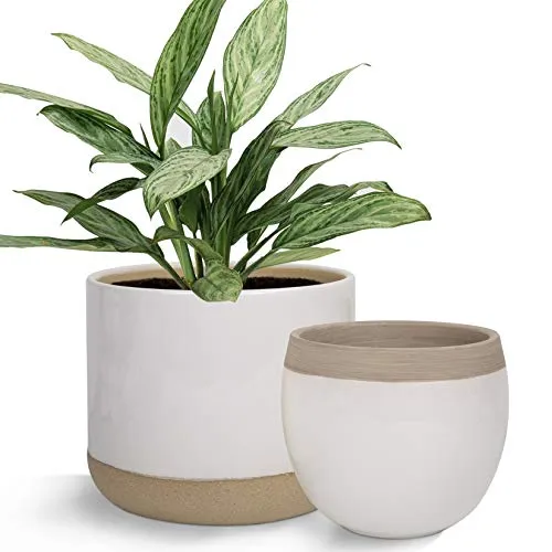 La Jolíe Muse Vasi per Piante in Ceramica 2 PCS，16.5cm+12.5cm Vaso per Fioriera, colore：Bianco & Beige