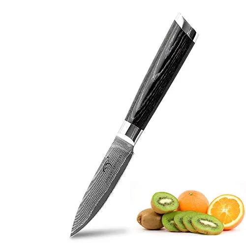 Coltello da Cucina Damasco da 3,5 Pollici, Coltello da Cucina in Acciaio Inossidabile VG-10 di Livello Professionale 67 Strati Con Impugnatura Ergonomica