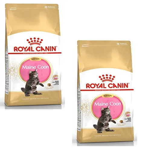 Royal Canin Maine Coon Kitten | Confezione Doppia | 2 x 400 g | Cibo secco per gatti | Specifico per cuccioli di gatto Maine Coon | Per favorire la digestione e il sistema immunitario