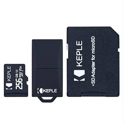 Scheda di memoria MicroSD da 256 GB Classe 10 Compatibile con Panasonic Lumix DMC-G7, DMC-G85, DMC-GH5S, DMC-GX7, DMC-GX8, DMC-GX85K, DC-G9, DC-GX850 Camera Digitale | Micro SD 256 GB