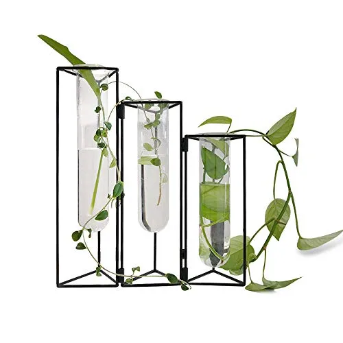 SHINA - Vaso per provette con telaio in ferro, 3 pezzi, vaso da scrivania, vaso idroponico da appendere alla parete, con supporto per la propagazione di piante idroponiche, decorazione ufficio