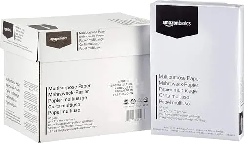 Amazon Basics Carta da stampa multiuso A4 80gsm, 2500 unità, 5 confezioni da 500, Bianco