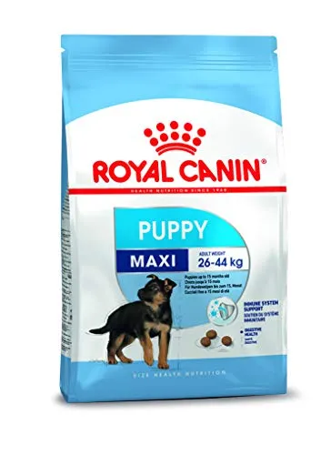Royal Canin Maxi Junior Mangimi Secchi Per Cani Crocchette - 4 kg