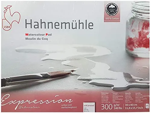 Hahnemühle Expression - Cartoncino per acquerelli, 100% cotone, finitura opaca, 300 g/m², 30 x 40 cm, 20 fogli, Made in Germany