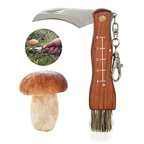 Sarplle Portachiavi con Coltello a Fungo Raccogliere Funghi con Pennello e moschettone