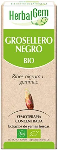 Herbalgem Spazzolone nero Bio - 150 g
