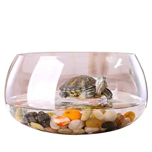 Acquario Decorazione Domestica Creativa Rotonda Trasparente Pesce Vetro del carro Armato Home Office Fish Tank (Size : M)