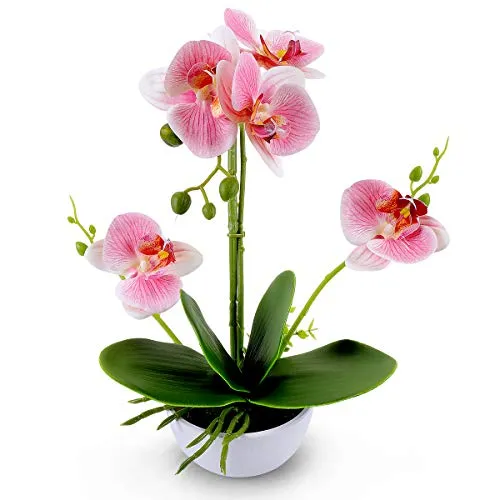 RERXN Decorativi Real Touch Orchidea Finta Bonsai Fiori Artificiali con Imitazione Vasi da Fiori in Porcellana Phalaenopsis Composizione Floreale per la Decorazione Domestica (Pink)