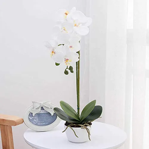 True Holiday Orchidea Artificiale composizioni Floreali con Vaso in Porcellana Bianca, Fiori Artificiali Bonsai Decorazione centrotavola, plastica, Realistico e Realistico White2