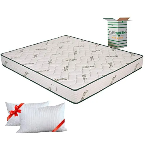 Evergreenweb - Materasso Matrimoniale 160x190 in Waterfoam Ortopedico Alto 20 cm + 2 Cuscini Memory Foam Gratis, Rivestimento Oli Essenziali ALOE VERA, Tessuto Antiacaro x Tutti Letti e Reti Offerta