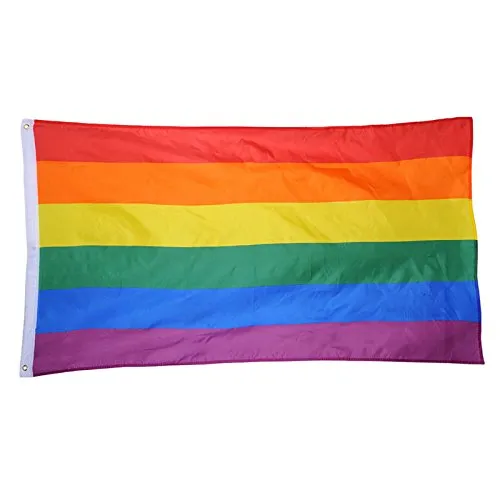 ZEEREE Bandiera Dell'arcobaleno Bandiera Grande Ciondol Bandiera Arcobaleno Poliestere Appeso Bandiera Gay LGBT Pride Parade