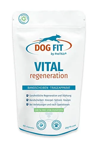 DOG FIT by PreThis® Vital Regeneration | più Calcio, L-lisina per Cani | Legamenti, tendini e Tessuti | per lesioni e Dopo Interventi Chirurgici