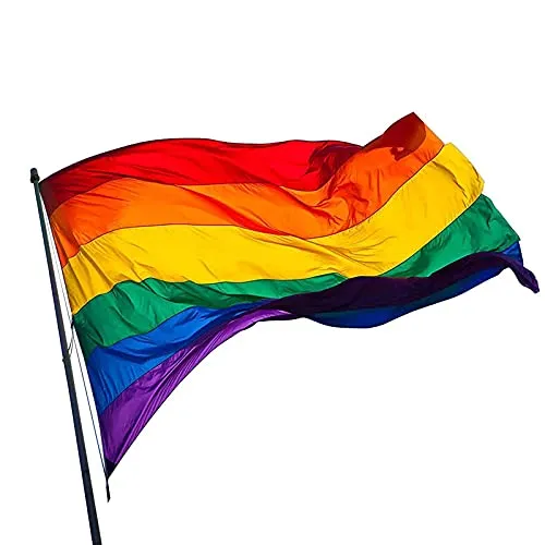 Oneroomone Bandiera Arcobaleno Gay Pride, Arcobaleno Bandiera 90 x 150cm, Bandiera LGBT con Occhielli Metallici, Adatta per Raduni All'aperto, Feste, Sfilate