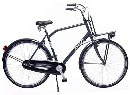 Amigo Forest - Bici da città per uomo 28 pollici - Adatto da 175-185 cm - Citybike con freno a mano, Freno a contropedale, portapacchi anteriore e luci e supporto per bici - Grigio