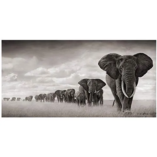 HSFFBHFBH Quadro su Tela Black Africa Elefanti Animali Selvaggi Scandinavia Poster e Stampe Cuadros Immagini per pareti per Soggiorno 40x120 cm Senza Cornice