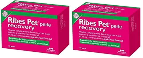 NBF Lanes Integratore Alimentare per Cani e Gatti Ribes-Pet Recovery (120 Perle (2 Confezioni))