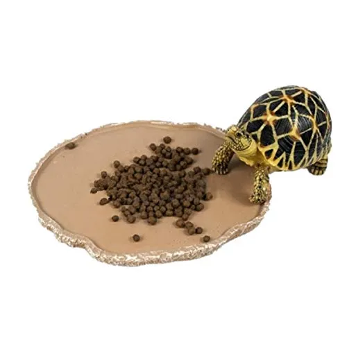 UEETEK Animali Domestici Piastra Rettile di Alimentazione Alimentazione Ciotola Vivarium Cibo Acqua Piatto Resina Ciotola per Turtle Gecko Serpente Animali Allevamento Vassoio