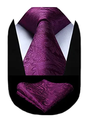 HISDERN Cravatta viola paisley Cravatta Uomo Elegante set di cravatte Paisley per matrimonio Cravatte classiche per la festa di matrimonio