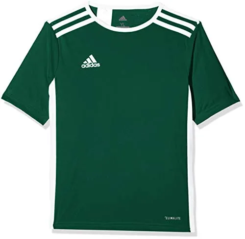 adidas Entrada 18 JSY Teamtrikot, T-Shirt Bambino, Verde (Collegiate Green/White), 11-12 anni (152)