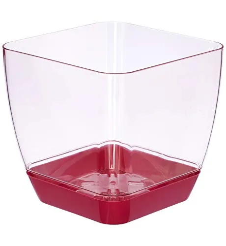 Favilla - Vaso Quadrato per Orchidee, in plastica, Effetto Acrilico, Sottovaso Rosso – Vaso Rosso Trasparente, 5.5 in / 14 cm