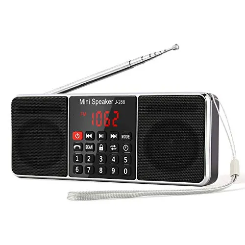 PRUNUS J-288 Radio Portatile Ricaricabile AM/FM,Radio Bluetooth con L'altoparlante Stereo, Radiolina Digitale con Serratura a Chiave e Funzione Sleeping Clock, MP3 Player, Supporto SD/USB/AUX