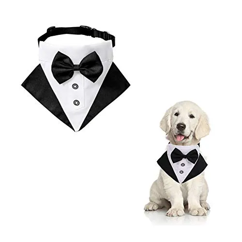 WANDIC Collare a Bandana, per Cani, da Matrimonio, con Anello a D, Regolabile, per Cani di Taglia Piccola, Media