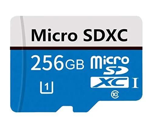 Genericce - Scheda di memoria Micro SD da 256 GB, classe 10, ad alta velocità, scheda Micro SD SDXC con adattatore SD