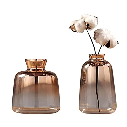 Pceewtyt Set di 2 vasi in vetro nordico placcato oro galvanizzato per la casa, decorazione di fiori secchi, bottiglie di bar, decorazione