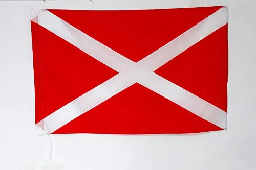 AZ FLAG Bandiera COMMISSARIO di Pista con Croce di SANT'ANDREA Bianca 90x60cm - Bandiera COMPETIZIONI AUTOMOBILISTICHE 60 x 90 cm Foro per Asta
