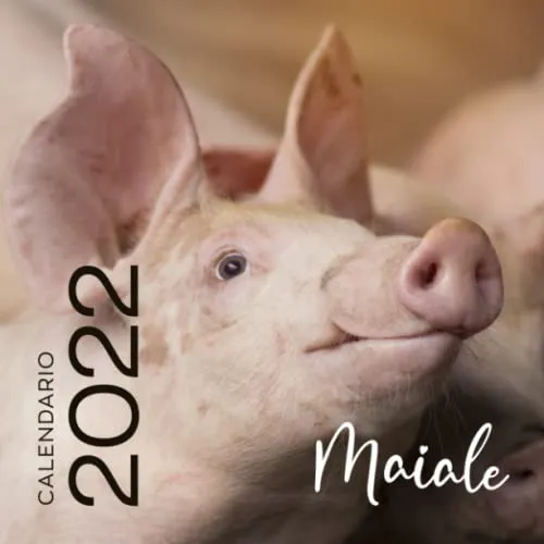 Maiale calendario 2022: Calendario originale maiale