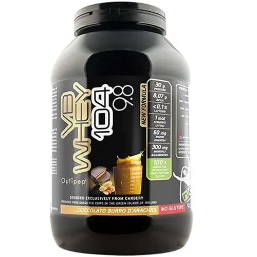 VB WHEY 104 9.8 (1980g) Proteine isolate idrolizzate (GUSTO Cioccolato al Burro d'Arachidi) - NET Integratori