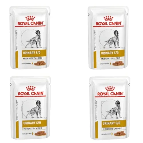 Royal Canin Urinary S/O Moderate Calorie | Confezione da 4 | 4 x 12 x 100 g | Cibo umido per cani | Per aiutare con pietre struvitate e ridurre le recidive della pietra struvitale