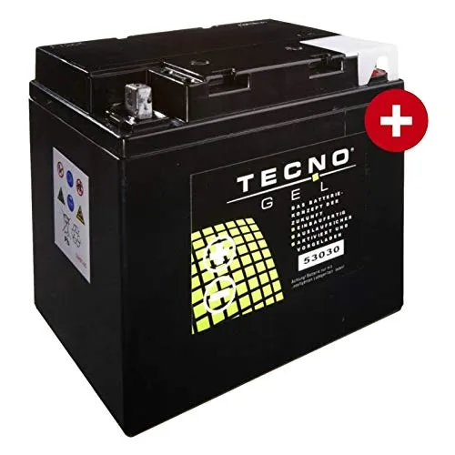 Tecno 53030 - Batteria gel K 100 RS 1983-1989