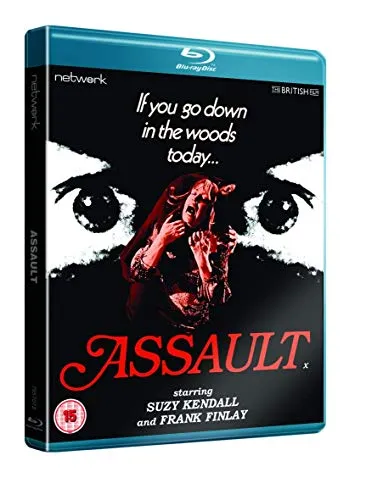 Assault [Edizione: Regno Unito]