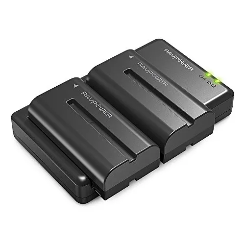 NP-F550 RAVPower Doppio Caricatore con 2 Batterie di Ricambio da 2900mAh, Compatibile al 100% Fotocamera Con Sony Originale delle serie NX5 / TRV1 / TRV3 and TRV9E / 46E / 49E