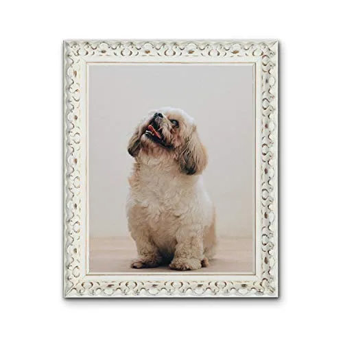 Tailored Frames Cornice da - Vienna Range, finemente vintage shabby chic foto e cornici in bianco 70 x 50 cm, white, legno